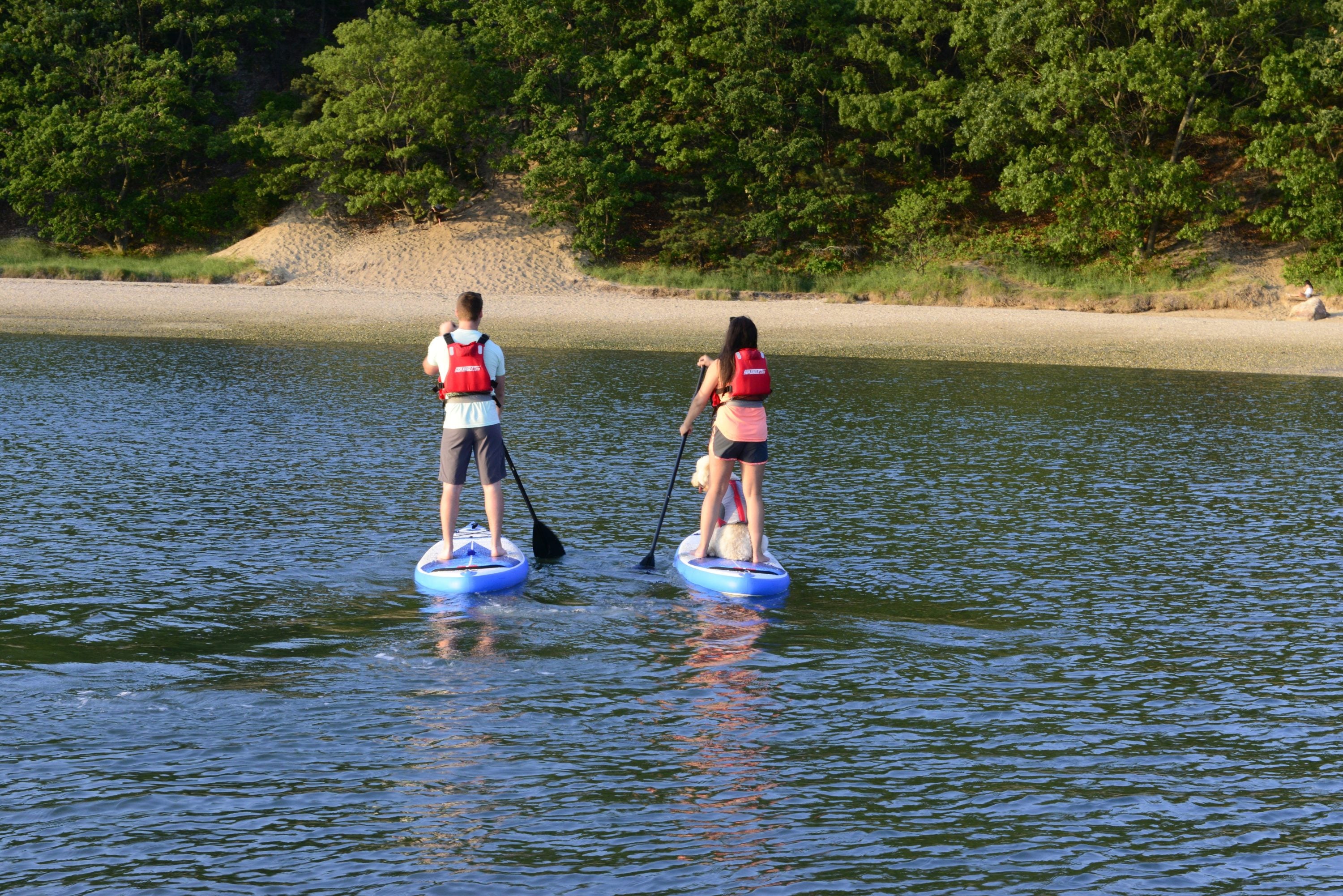 Kayak vs. Paddleboard Which is Better? Elemental Sports