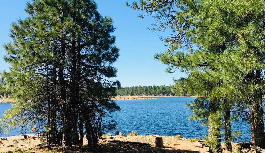 Fishing Bliss at Willow Springs Lake: An Unforgettable Adventure